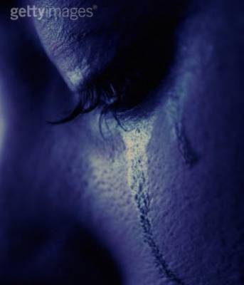 La tristesse de Siamoise!!!!!!!!!!!!!!!!